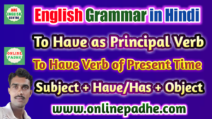 Use of Have/Has as Principal Verb in Sentence